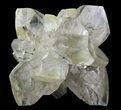 Twinned Selenite Crystals (Fluorescent) - Red River Floodway #64525-1